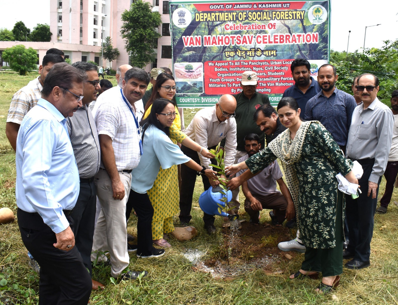 Plantation Drive